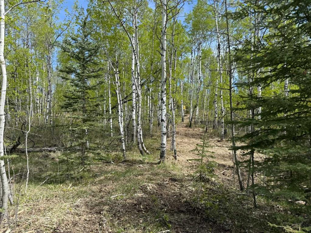 40-29066 Range Road 52