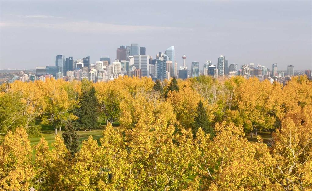 3803-24 Hemlock Crescent SW