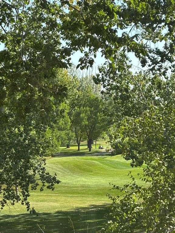 7204-14 Hemlock Crescent SW