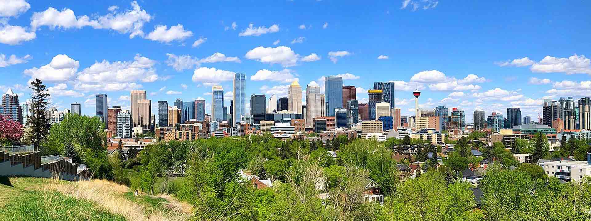 Calgary Real Estate